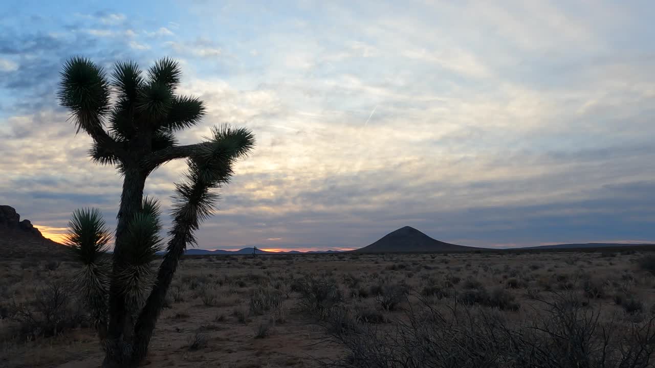 Panoramaudsigt over det farverige Mojave-ørkenlandskab ved solopgang eller solnedgang