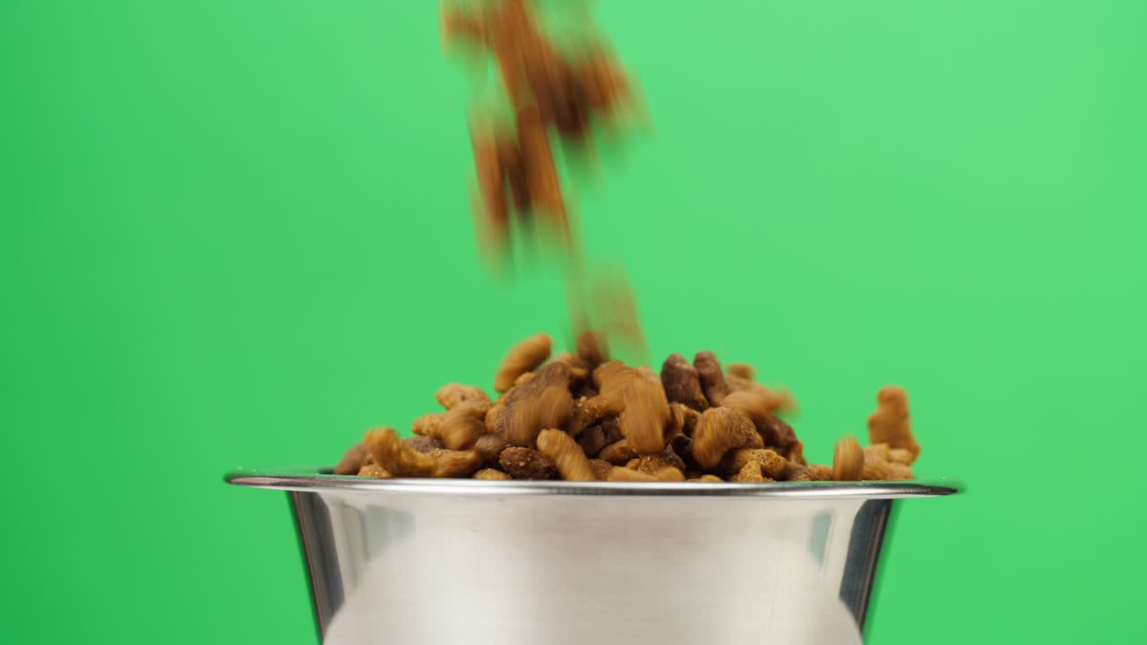 verter comida seca para perros en un cuenco de metal de primer plano. gránulos que caen en un plato sobre un fondo verde. alimentar animales domésticos, golosinas para cachorros. comida crujiente para gatos de pedigrí. tienda de mascotas y entrega