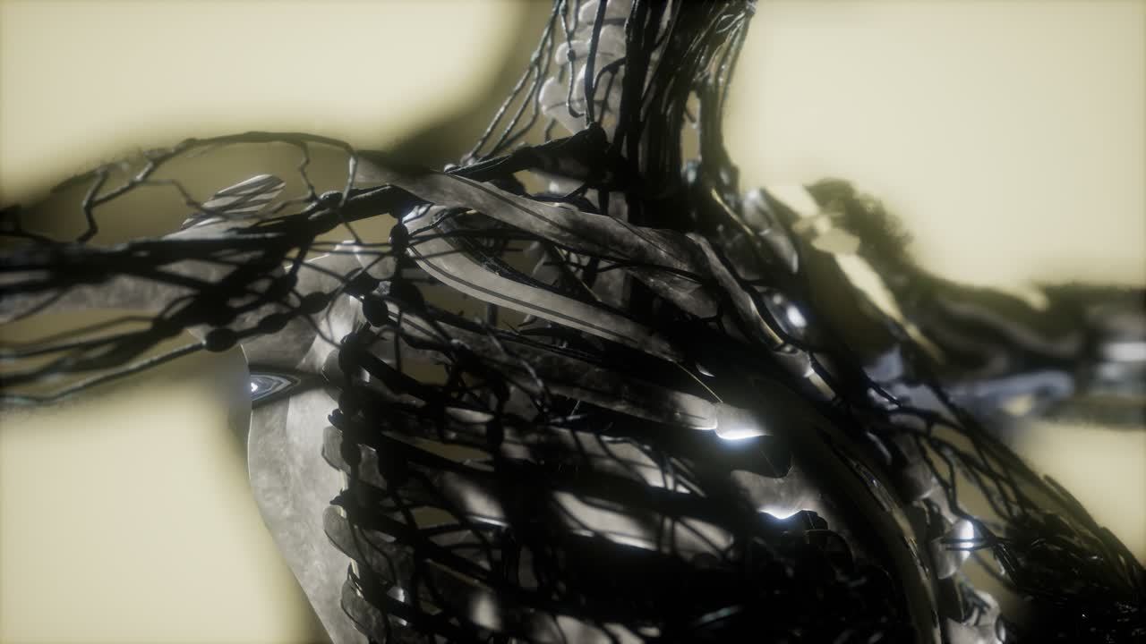 los huesos del esqueleto humano escanean brillando