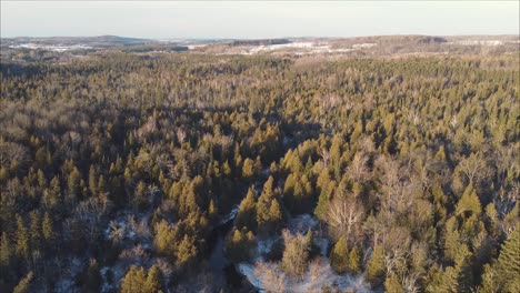 Escena-Aérea-Del-Bosque-Con-Un-Pequeño-Río-Al-Atardecer-Durante-El-Invierno