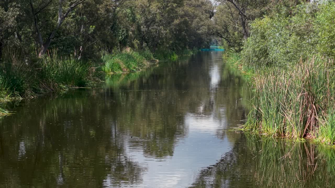 Drone footage flying low over Xochimilco's canals in Mexico City