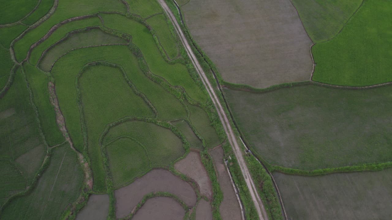 abajo de la parte superior de los campos de arroz auténticos sin gente en sumba indonesia, aero