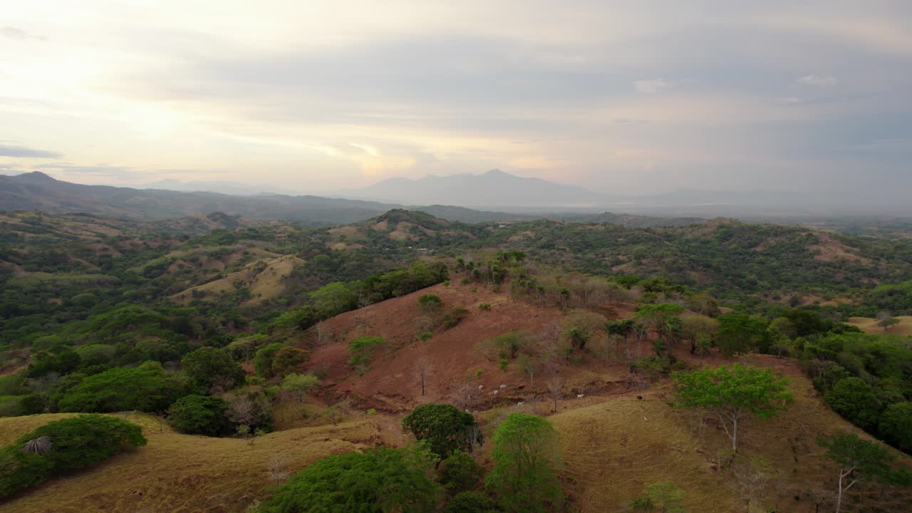 Aerial over rolling hill grassland with lush green trees at golden hour, Macacona