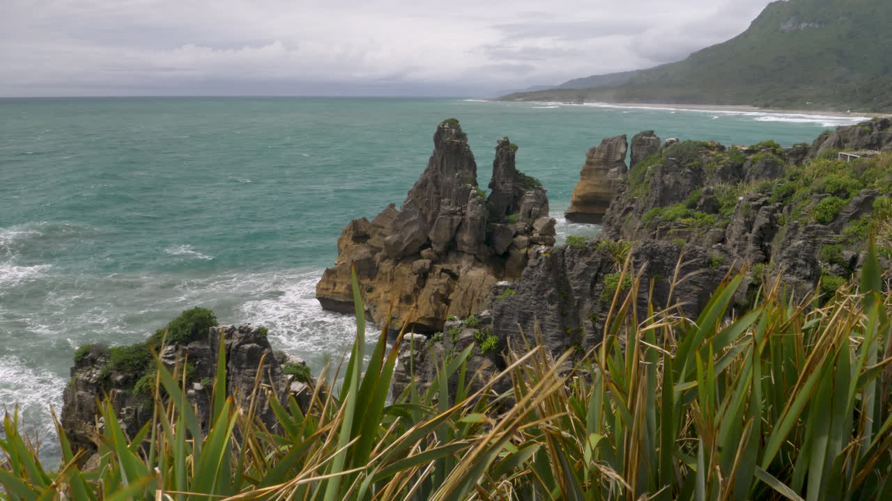 4k 영상에서 파도가 바다와 절벽에 부히고 앞면에는 식물이 있습니다. - 푸나카이키, 뉴질랜드