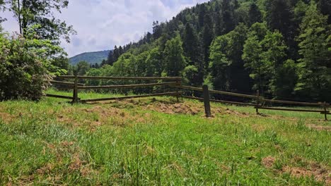 static shot of beautiful green summer landscape with mountains in background at the schwarzwald, germany