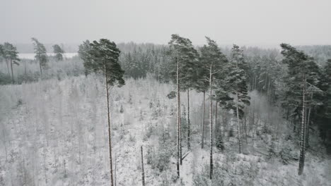 Valdemārpils-De-Letonia-En-El-Mes-De-Diciembre.