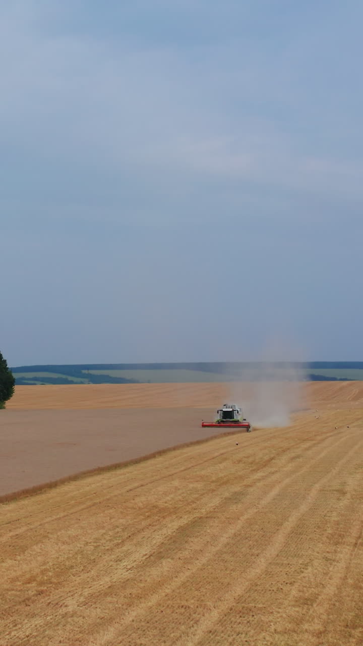 Countryside landscapes harvesting by huge combine. Agricultural farming lands aerial view. Vertical video