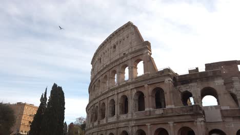 view on the top part of the colosseum with a truck move with a bird passing by