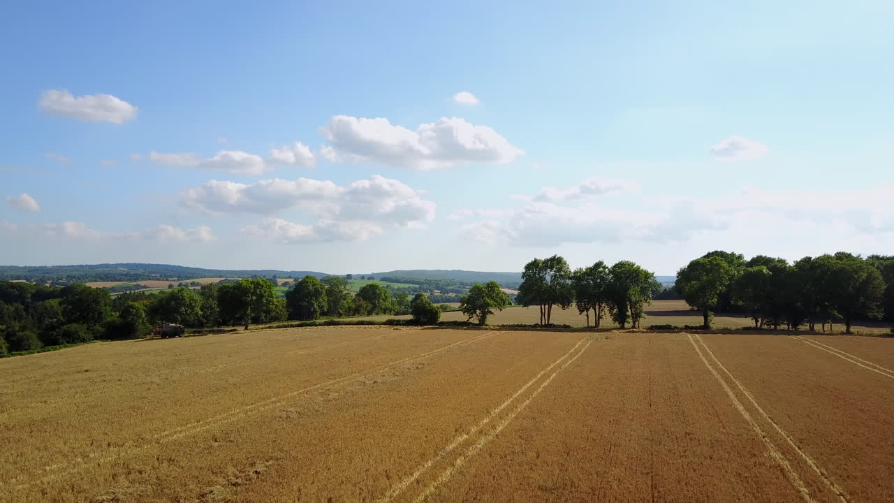 Kent Countryside, UK - Drone flies over wheatfield at sunset