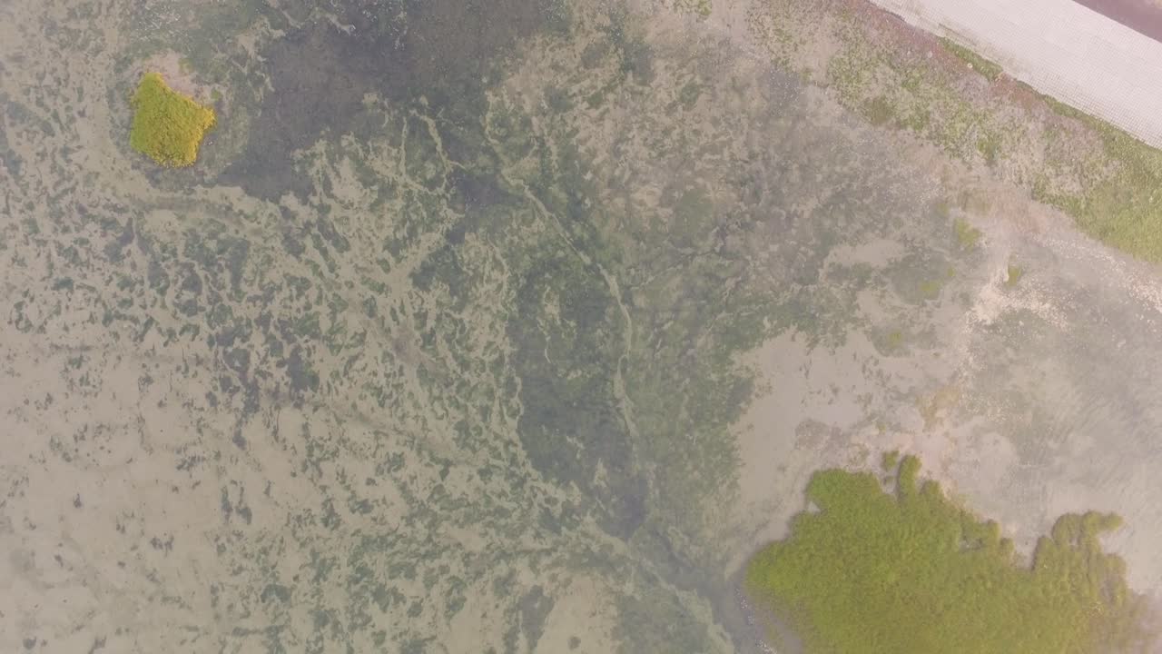 Aerial View of a Coastline