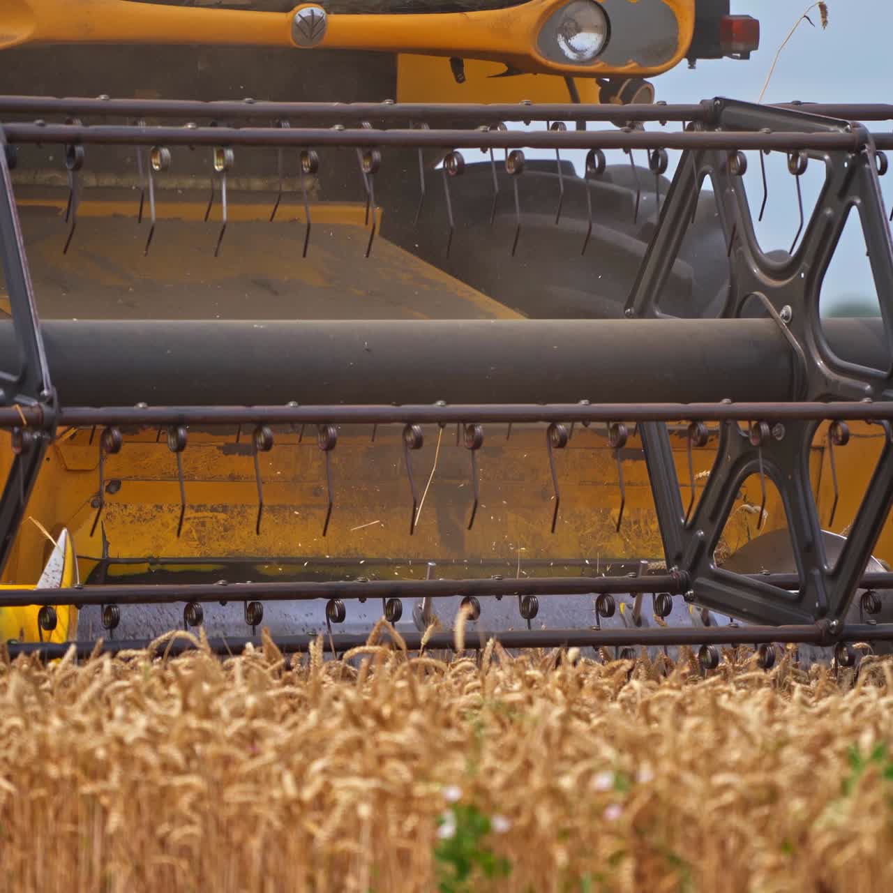 Harvesting farming land in the wheat field. Agricultural combine in the field