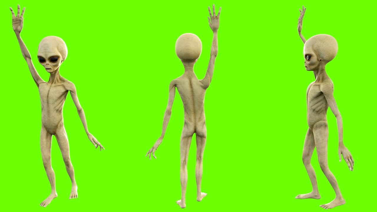 alienígena agitando la mano para saludar. animación en bucle en pantalla verde. 4k.