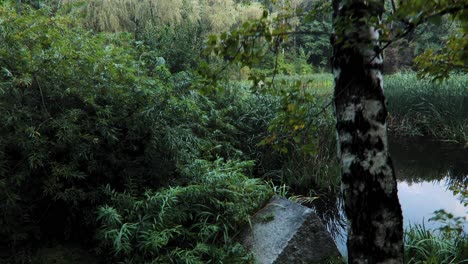 A-small-lake-in-a-city-park-during-the-summer-in-Poland,-captured-dynamically-from-a-crane-mounted-camera-in-4K-resolution