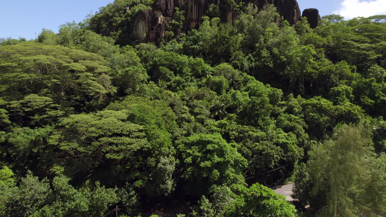 imágenes de drones de enormes piedras de granito en la cima de la montaña cerca de la playa, rodeadas de árboles, anse louis, mahe seychelles 30 fps