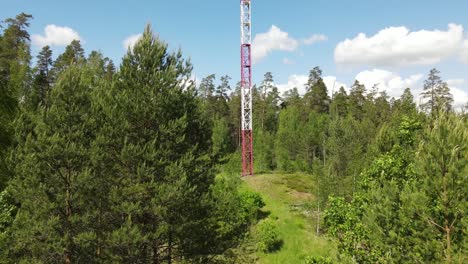 lookout tower in the woods