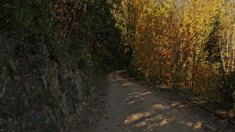 Hermosos-Paisajes-Y-Caminos-Otoñales-En-Arbucies,-Girona,-España