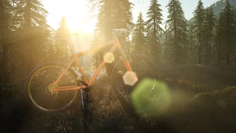 bicycle in mountain forest at sunset