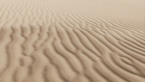 rippling sand dune patterns