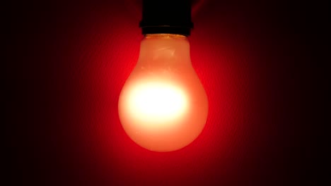 light bulb on red wall background