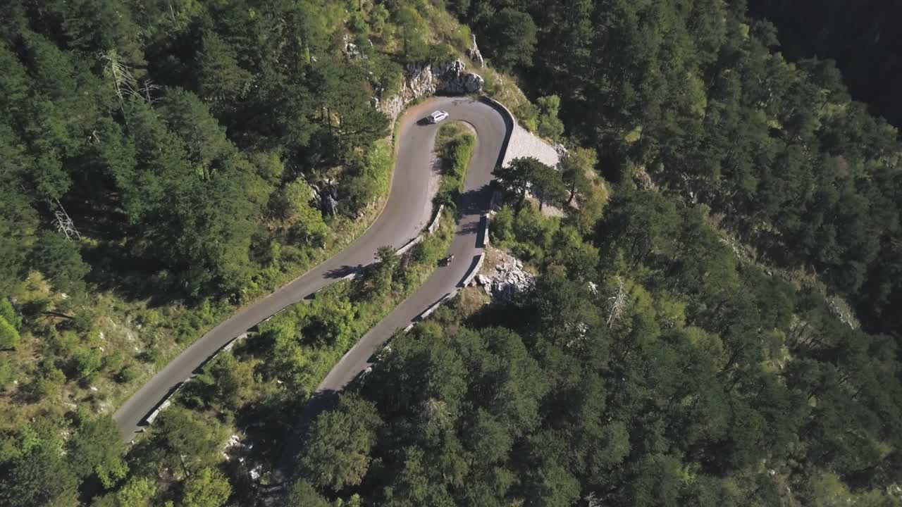 숲을 가로지르는 산길