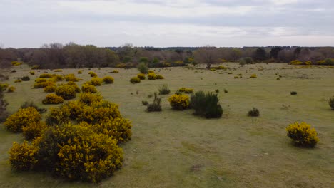 Vista-Aérea-Del-Lago-Convento-Y-Los-Canales-De-Agua-Que-Suministran-Agua-A-Los-Campos-Agrícolas-Vecinos,-Al-Lado-De-Una-Pequeña-Ciudad-En-Thetford-Norfolk,-Reino-Unido