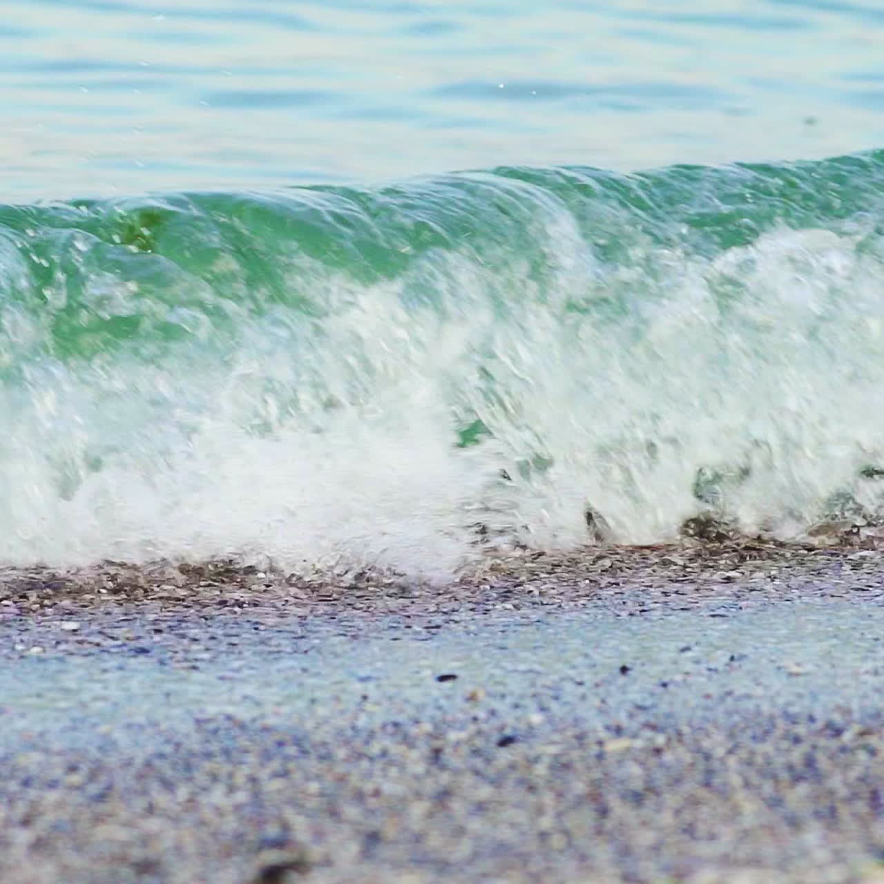 Sea waves with green algae cover sandy shore forming foam on a hot summer day. Close-up. Wonderful view.