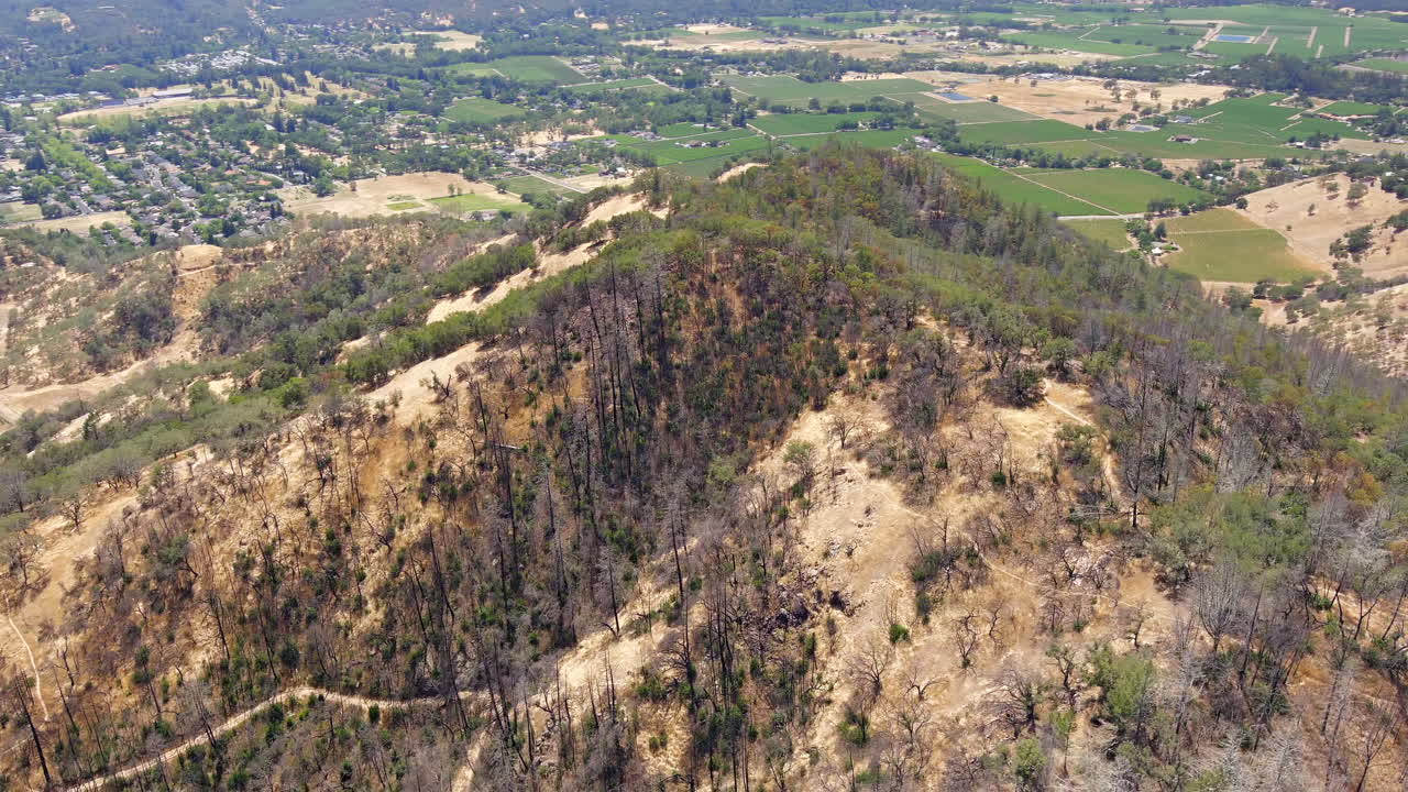 vista aérea del comienzo del sendero de la mina oat hill con árboles quemados en un día soleado en pope valley, california, ee.uu.
