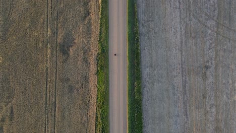 Toma-Aérea-De-Seguimiento-De-Arriba-Hacia-Abajo-De-Una-Sola-Persona-Caminando-Por-Un-Camino-De-Tierra-Vacío-Entre-Campos-De-Grano-Marrón