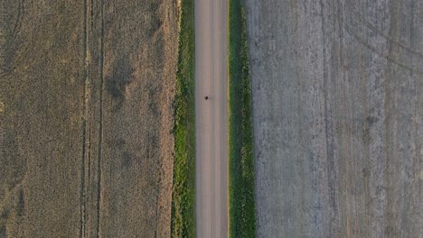 aerial top down tracking shot of a single person walking along an empty dirt road between brown grain fields