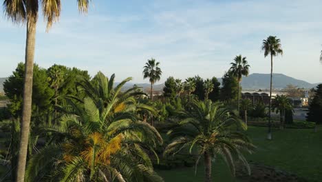 beautiful park with palmtrees in greece