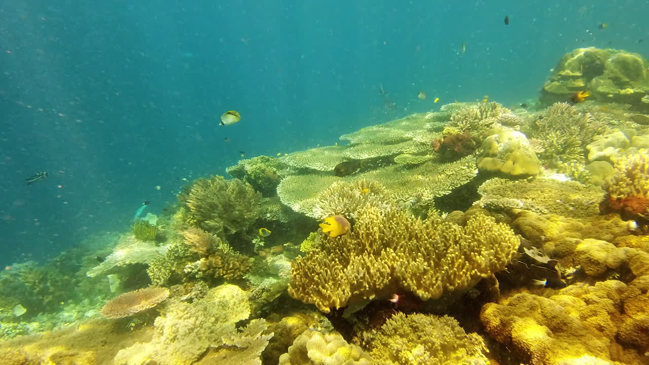 convertirse en uno con la naturaleza