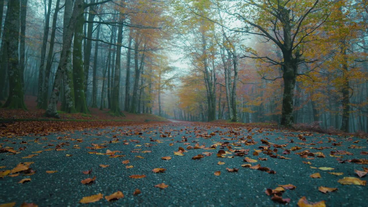 Mountain in late autumn with fallen leaves on the road, depression concept