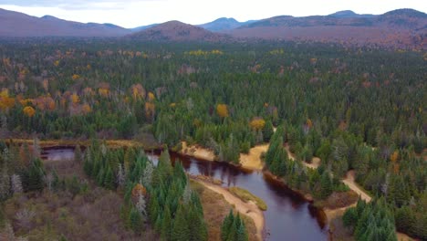 mont tremblant forest, bright fall foliage covering the trees, colorful leaves changing with the season as serene river winds through forest