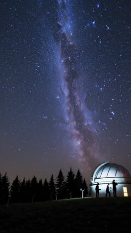 stargazing under the milky way