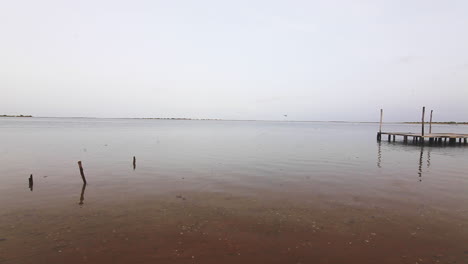 malaria mosquito plagued lake at senegal africa sunrise