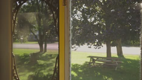 Green-Trees-At-The-Front-Yard-Swaying-On-A-Gentle-Breeze