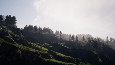 Tatra-Gebirge,-Bedeckt-Von-Grünen-Kiefernwäldern