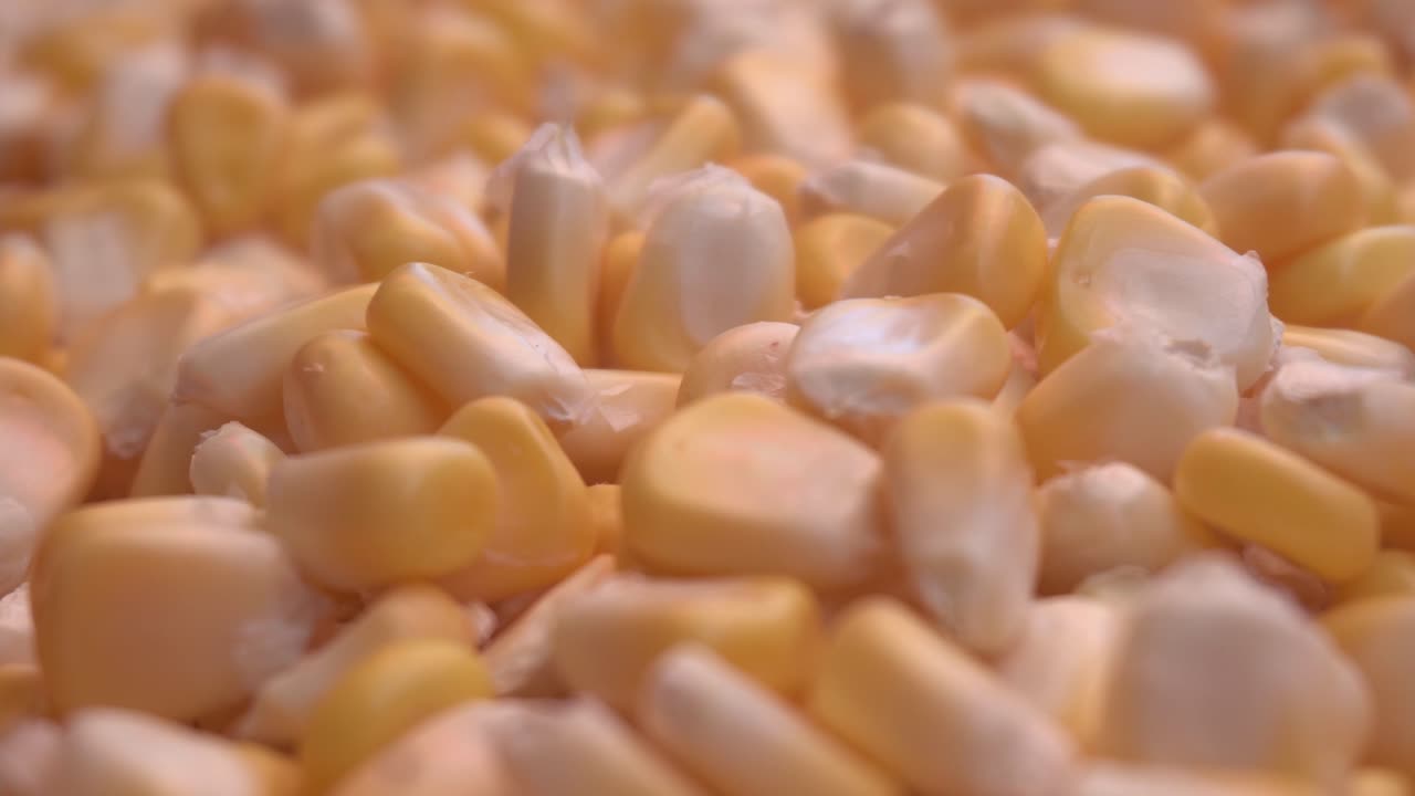 el maíz es un alimento muy saludable y sabroso-4