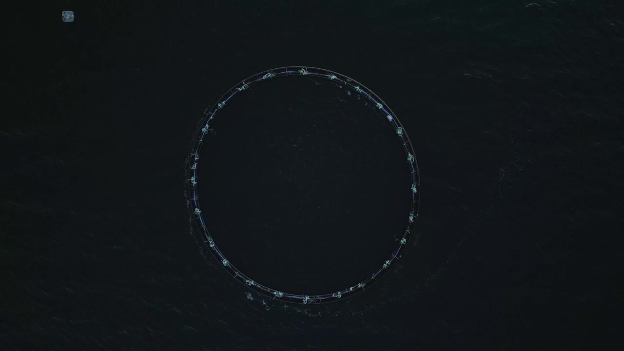 Dramatic top down view of an Atlantic Salmon cage in a fish farm in Scotland. Drone descending