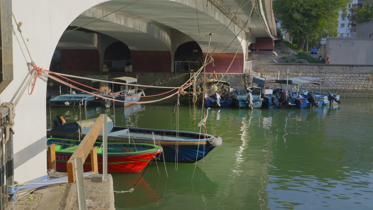 toma de un muelle bajo un puente durante el día