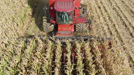 Cosechadora-De-Cabezales-Cortando-Y-Recogiendo-Granos-De-Un-Campo-Agrícola,-Aéreo