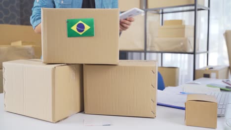 Brasilien-Flagge-Auf-Logistikfrachtpaket.
