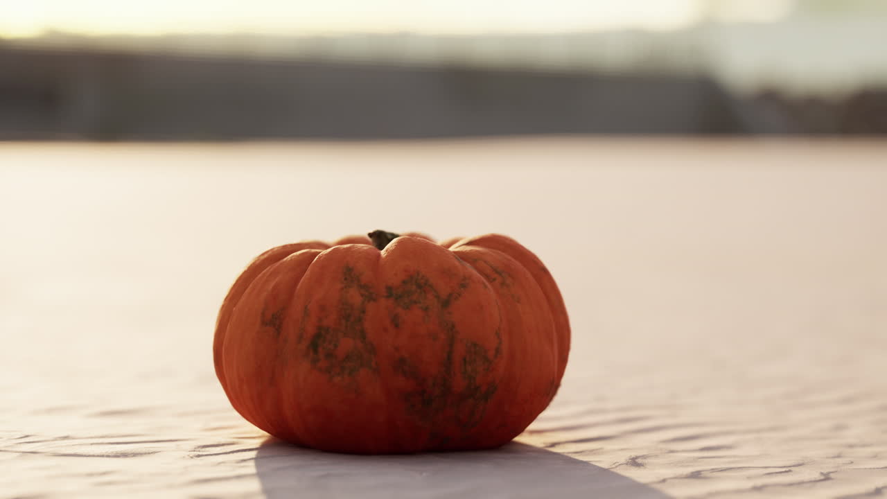 calabaza de halloween en las dunas de la playa