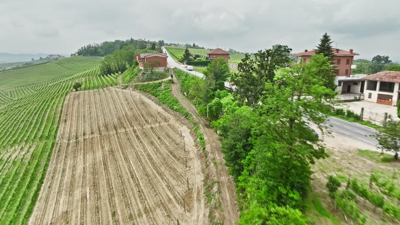 hermosos viñedos italianos