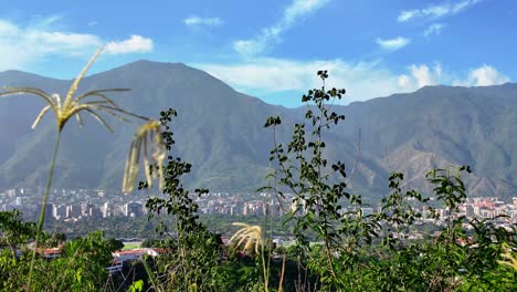 Experience a breathtaking view of Avila Mountain overlooking Caracas, Venezuela. The lush greenery frames the vibrant city below, creating a serene atmosphere amidst nature.