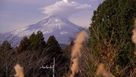 medium static shot of mount fuji with cloud in nature setting