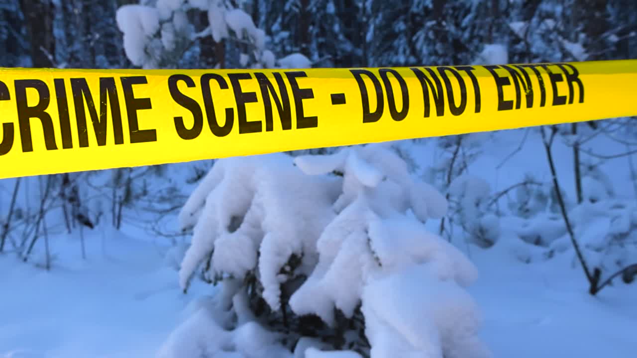Yellow colored forensic crime scene science and police tape ribbon pulled in front of a white fluffy snow covered forest area while sunshine backlits the tape. Background is slightly bokeh, blurry