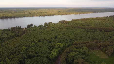 river crossing amazon forest