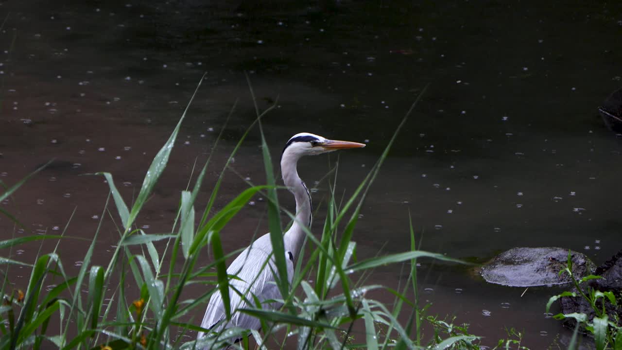 도쿄 최고의 전망