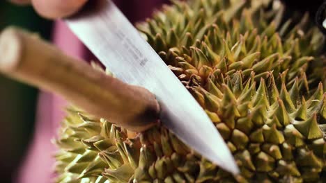 hand open, peel durian, close up